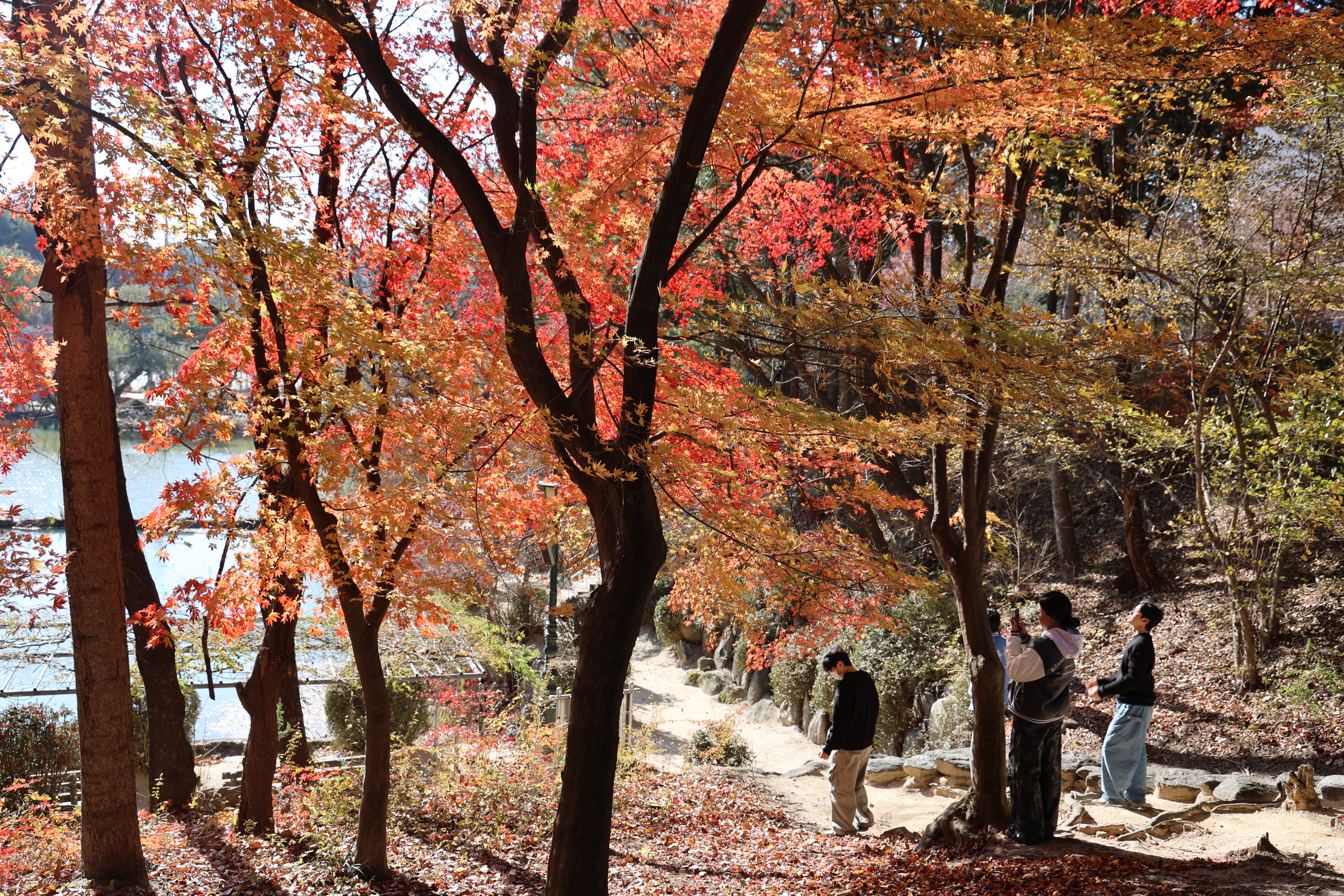 KakaoTalk_20251121_123411015.jpg 6000X4000