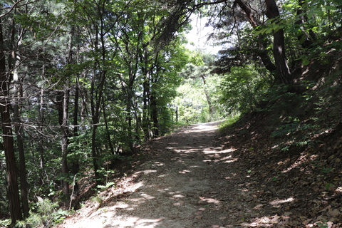 6.jpg 480X320