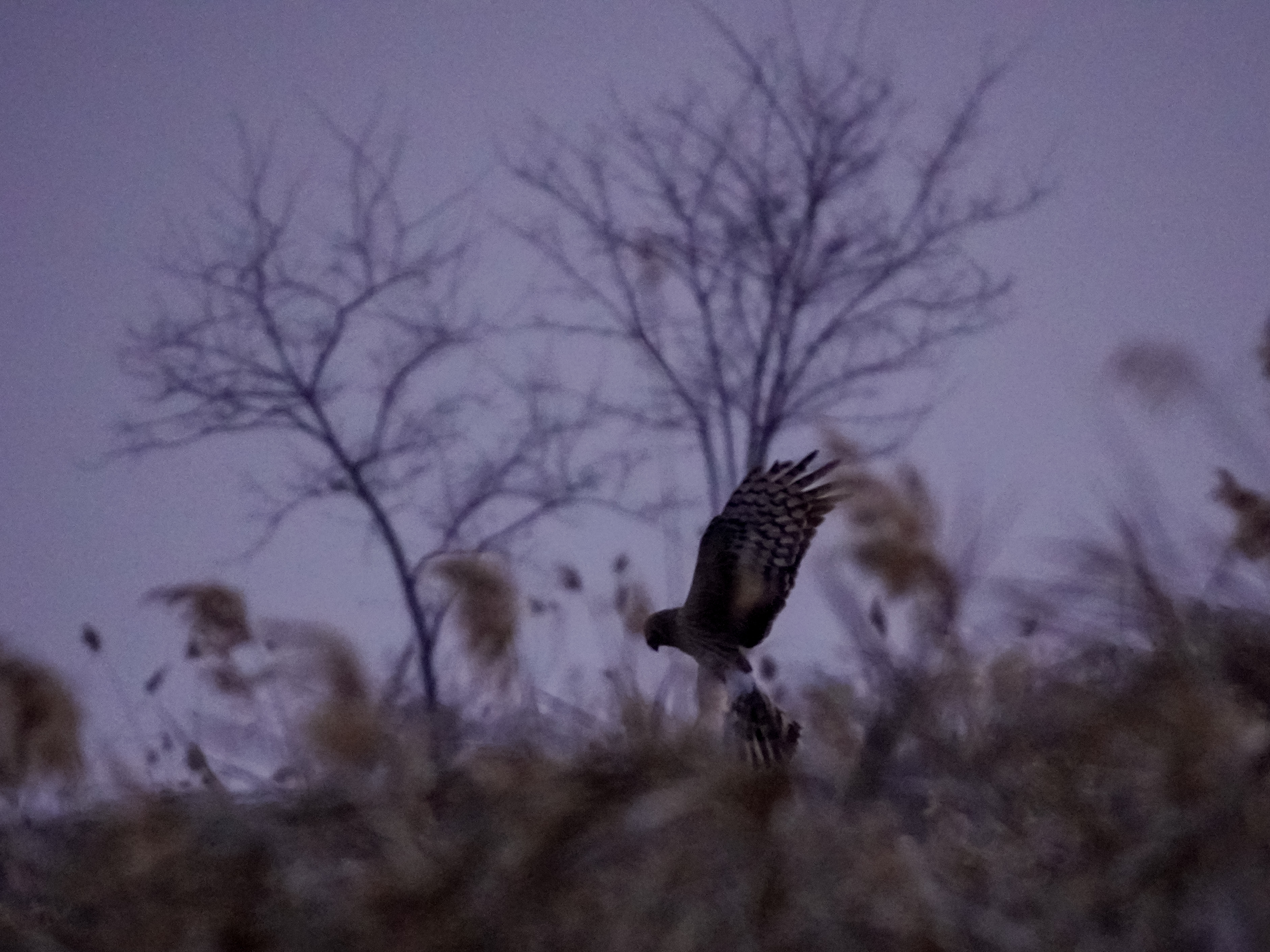 ���� ���� ����.jpg 3760X2819