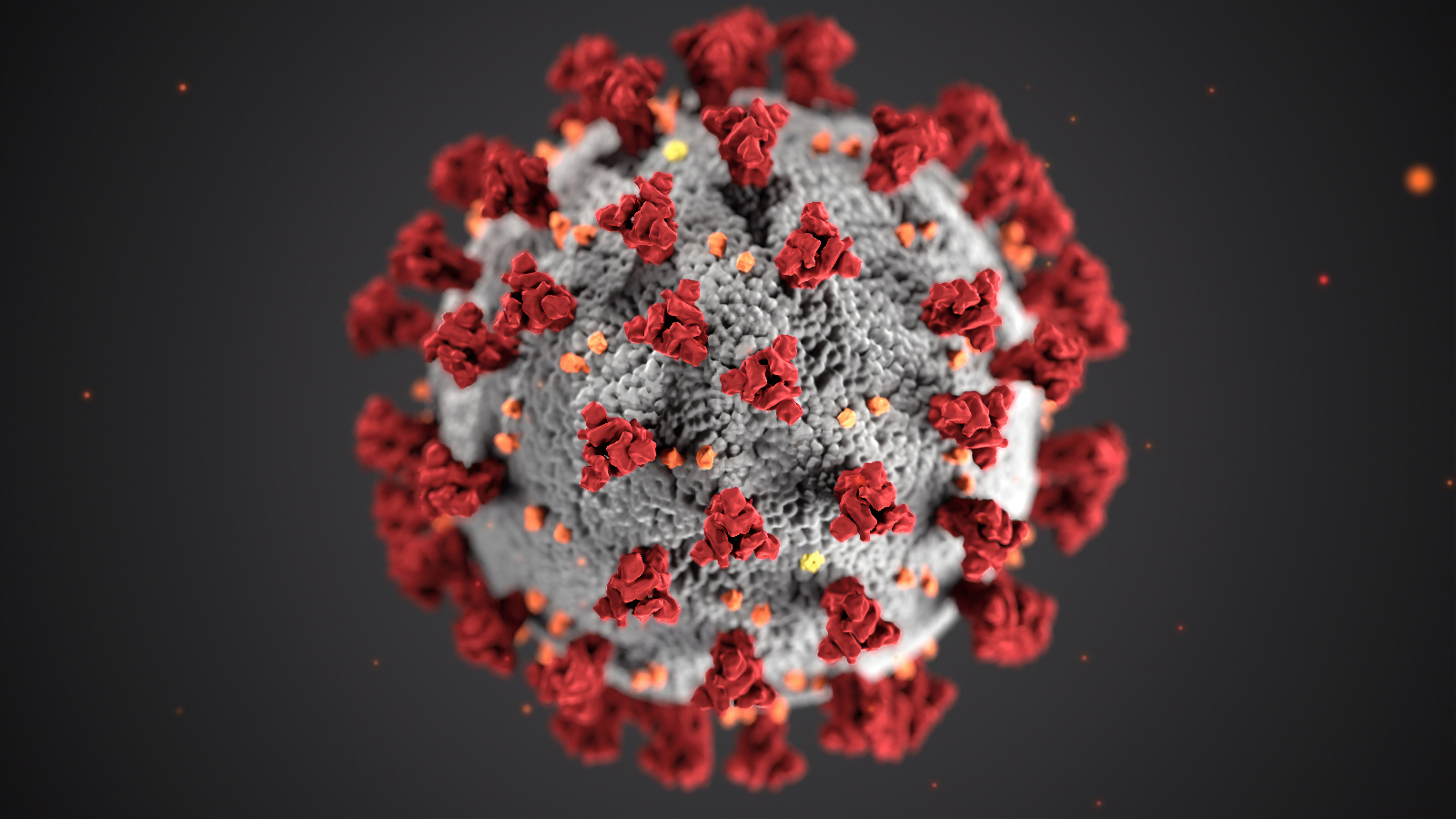 The Human Being, a Virus of Earth_resized.jpg 1600X900