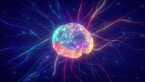 2��.jpg 300X169